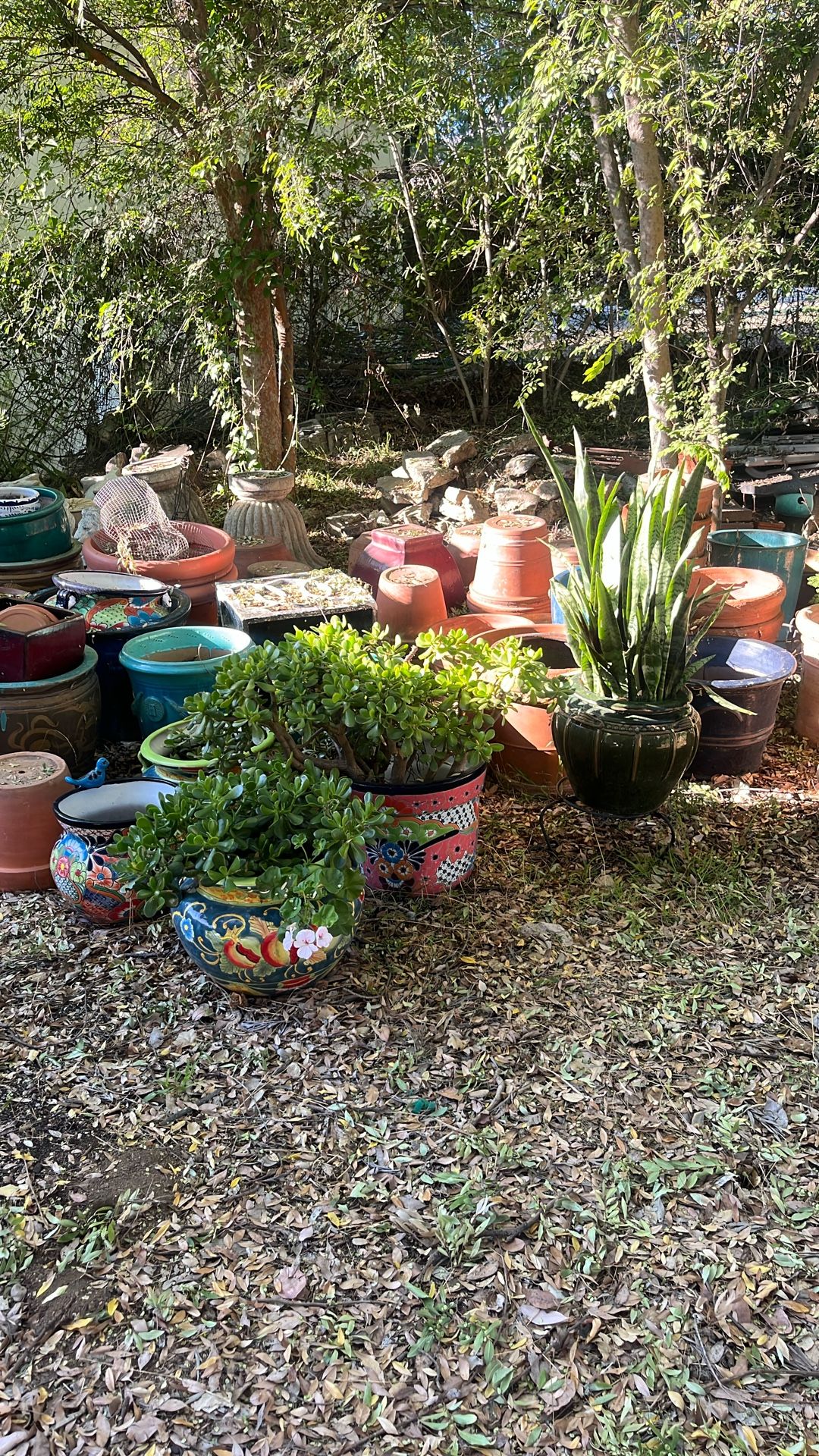 Large Terra Cotta And Ceramic Pots
