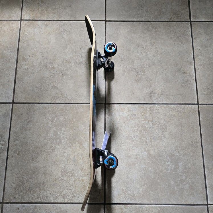 SANTA CRUZ SKATEBOARD SIZE 8.25