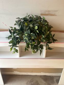 Artificial Plant