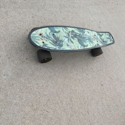 Skateboard (Penny Board)