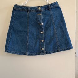 Miniskirt