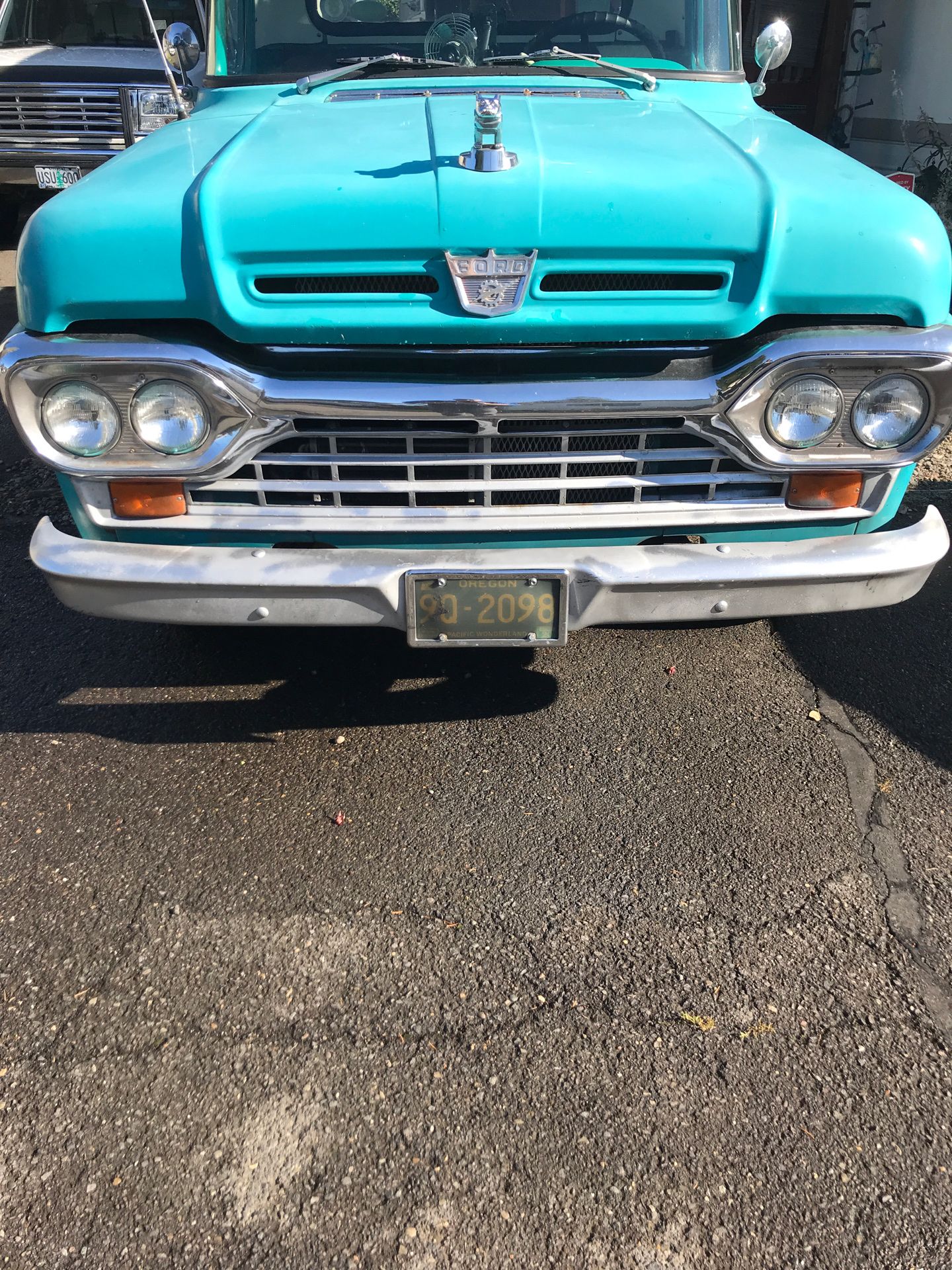 1960 f100 chrome grill