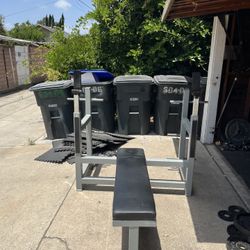 Sorinex Flat Bench Press For Weights