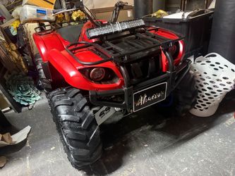 660 grizzly 2009