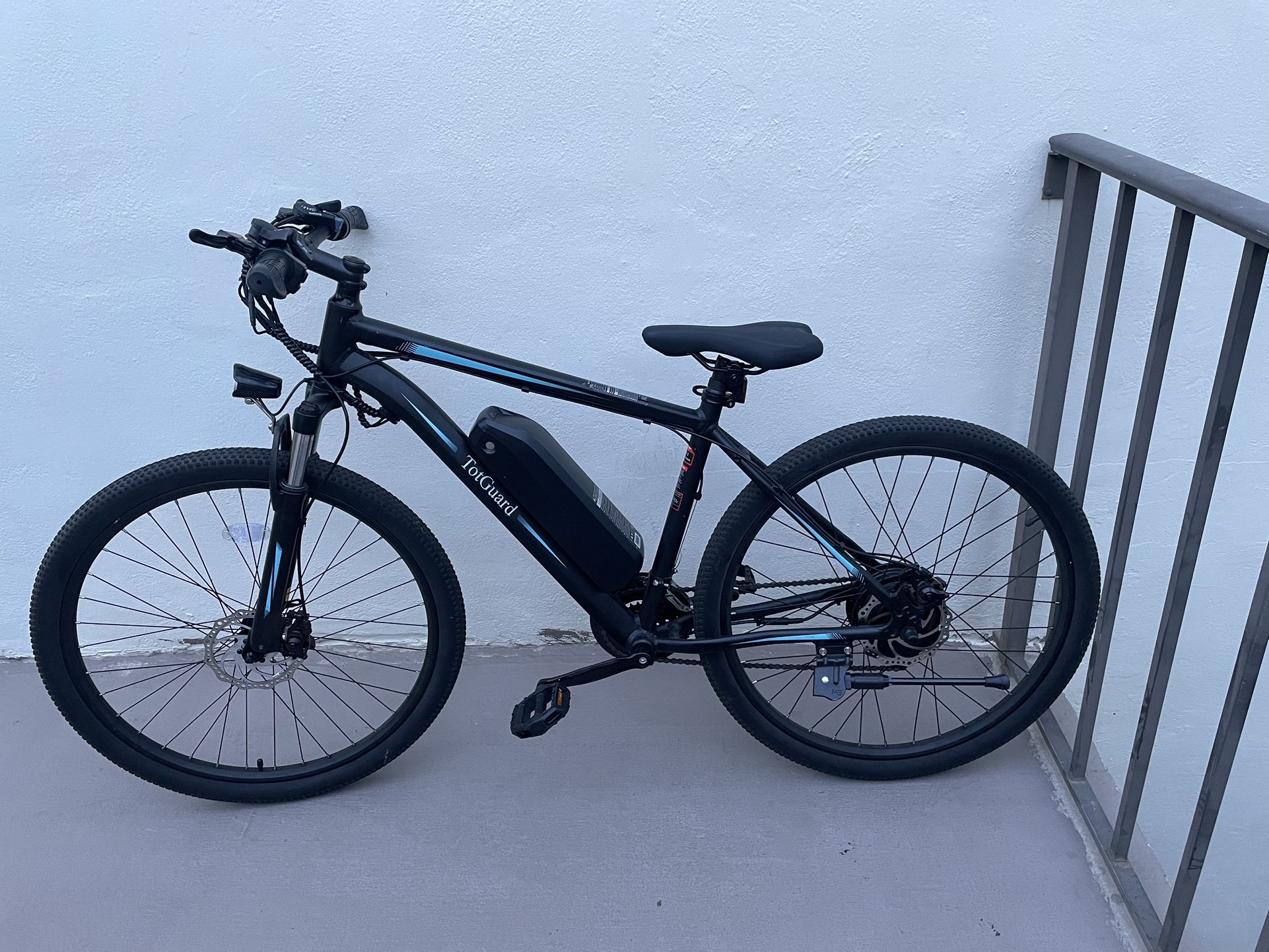 Totguard E Bike !scooter 750 W  I10-plus 