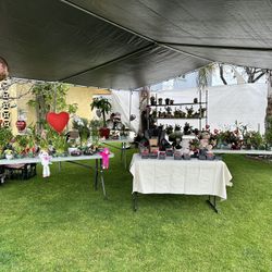 Valentine’s Day Arrangements $