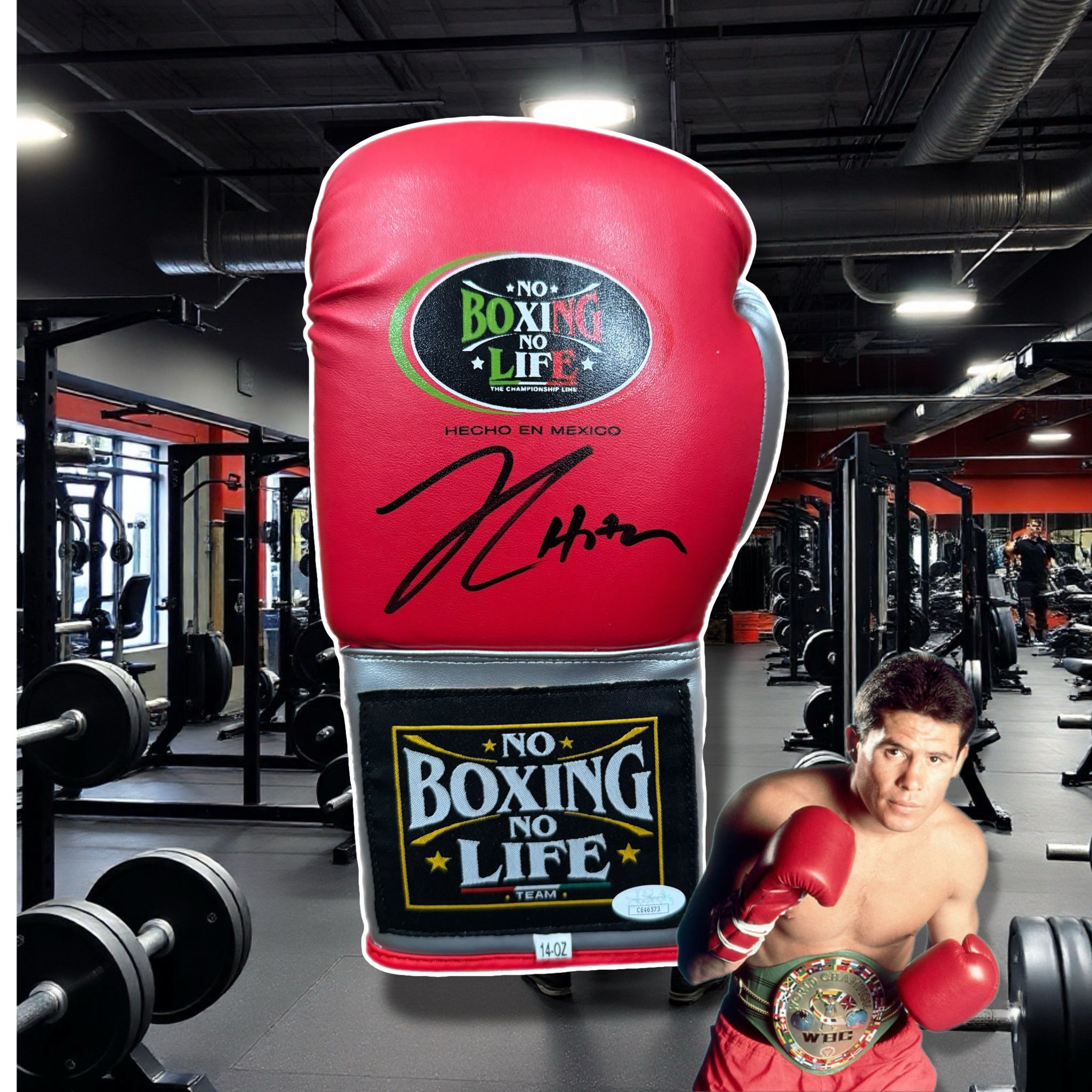 Signed Julio Cesar Chavez Sr glove (JSA CERT)