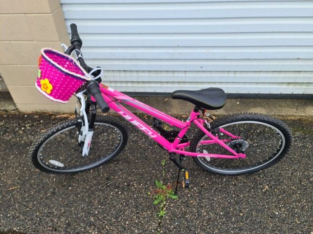 24" Pink Huffy Bike with Upgrades