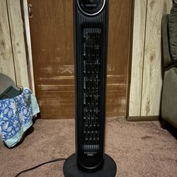 Standing Fan 