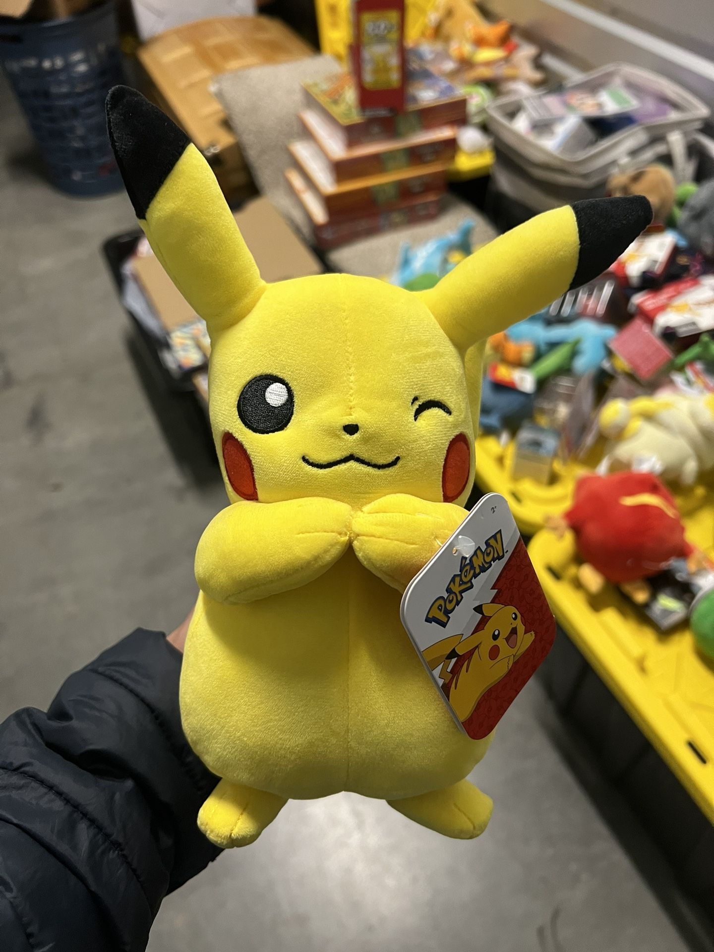 Pokemon Plushies 15$ Each