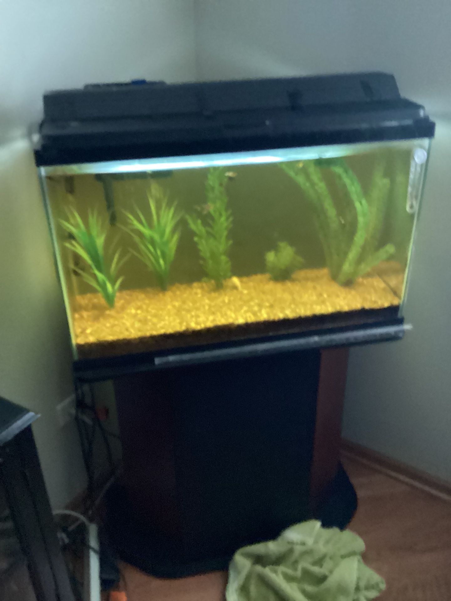 30 Gallon Aquarium $20