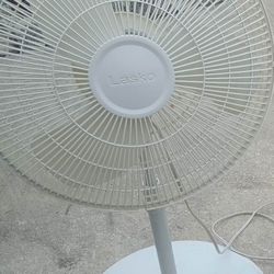 Fan 20 Inches Oscillating 