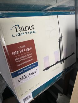 Brand New Ceiling Light 