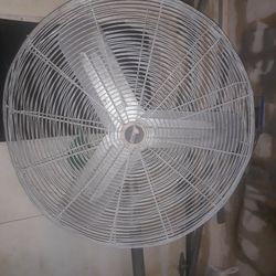 Industrial Fan 