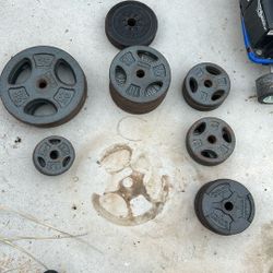 Weight Plates 