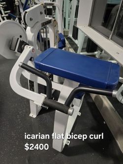 Icarian Flat Bicep Curl Commercial Gym Equipment Weight Machine