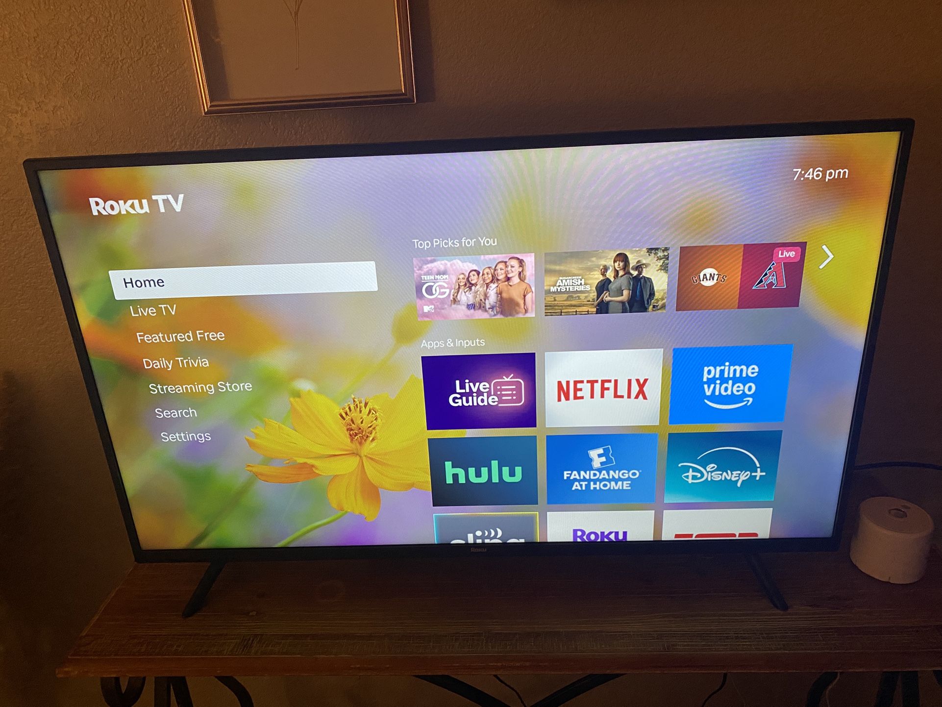 Roku 40 in Smart TV