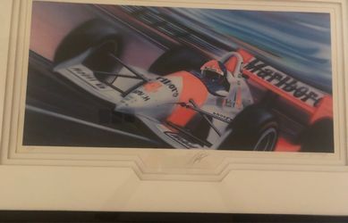 1994 Brazilian Force Print #71/500 signed by Emerson Fittipaldi