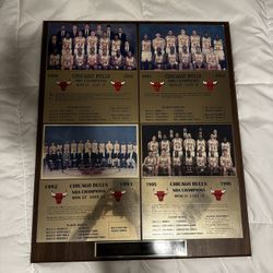 Chicago Bulls 1996 4 Time World Champion Plaque (1991,1992,1993,1996)