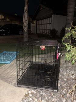 Medium barely used dog cage 