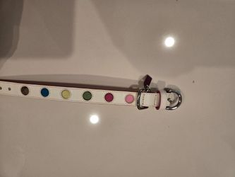Coach xsmall dog collar