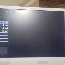 Vizio TV/Monitor 24"