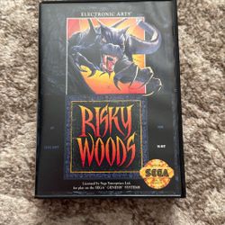 Risky Woods For Sega Genesis