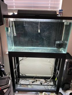Fish tank