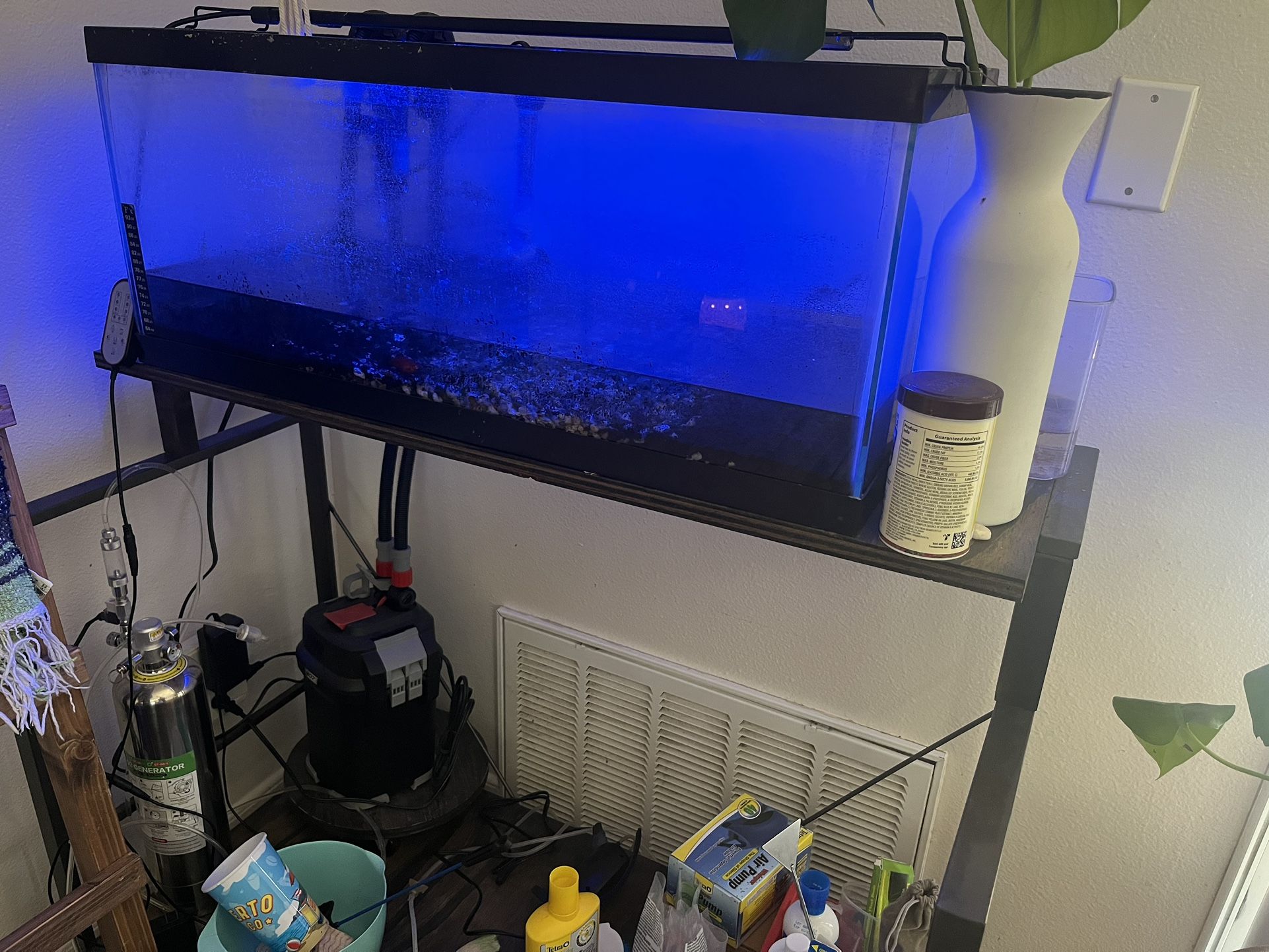 20 Gallons Fish Tank 