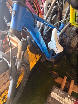Trek 19 inch