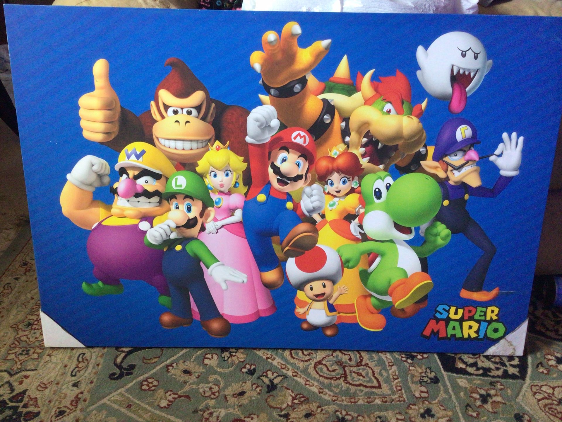 Super Mario Brothers Canvas Wall Art