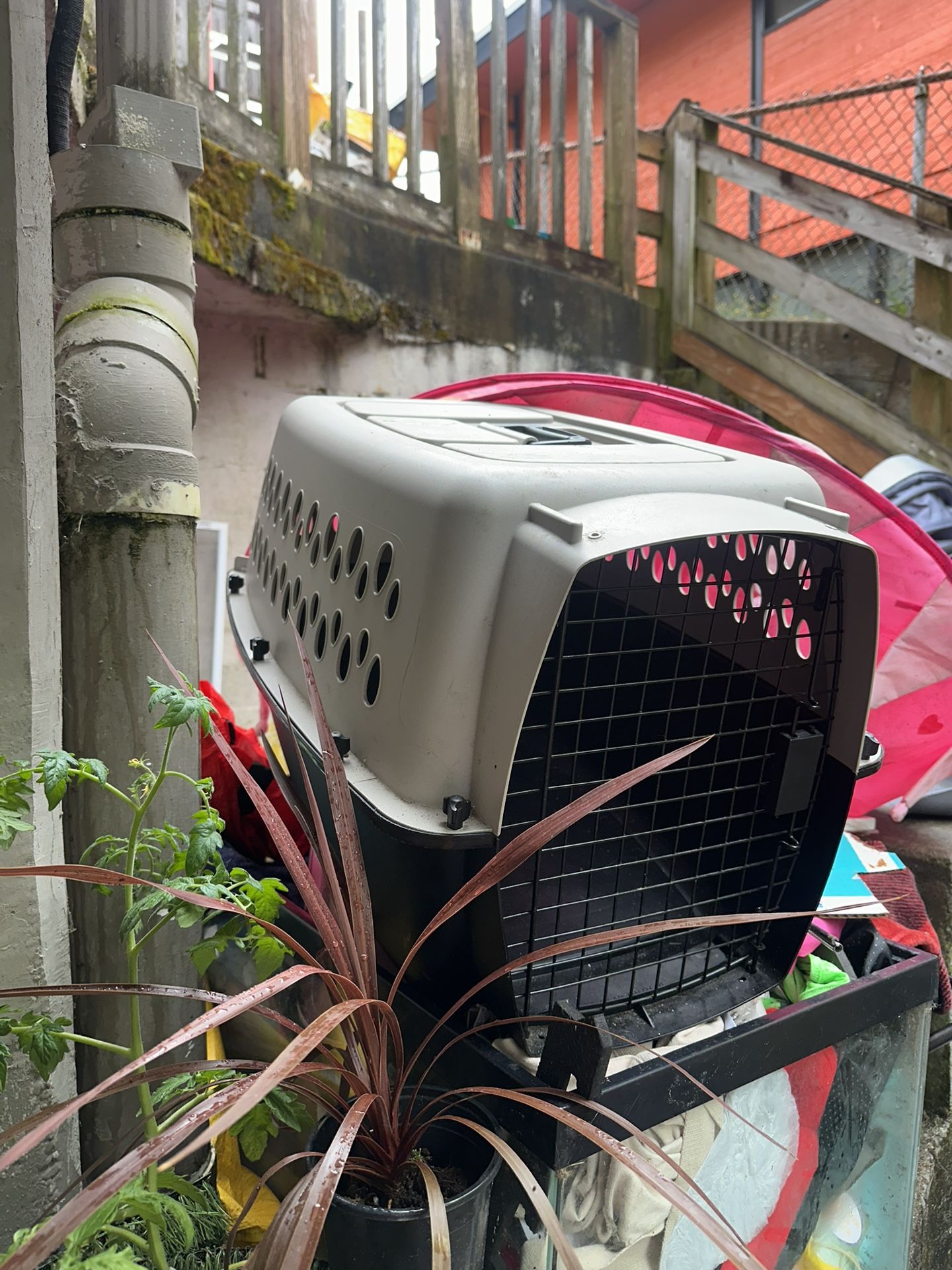 Pet Carrier