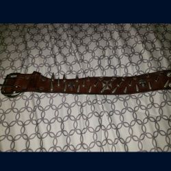 2" Dog Spiked Collar