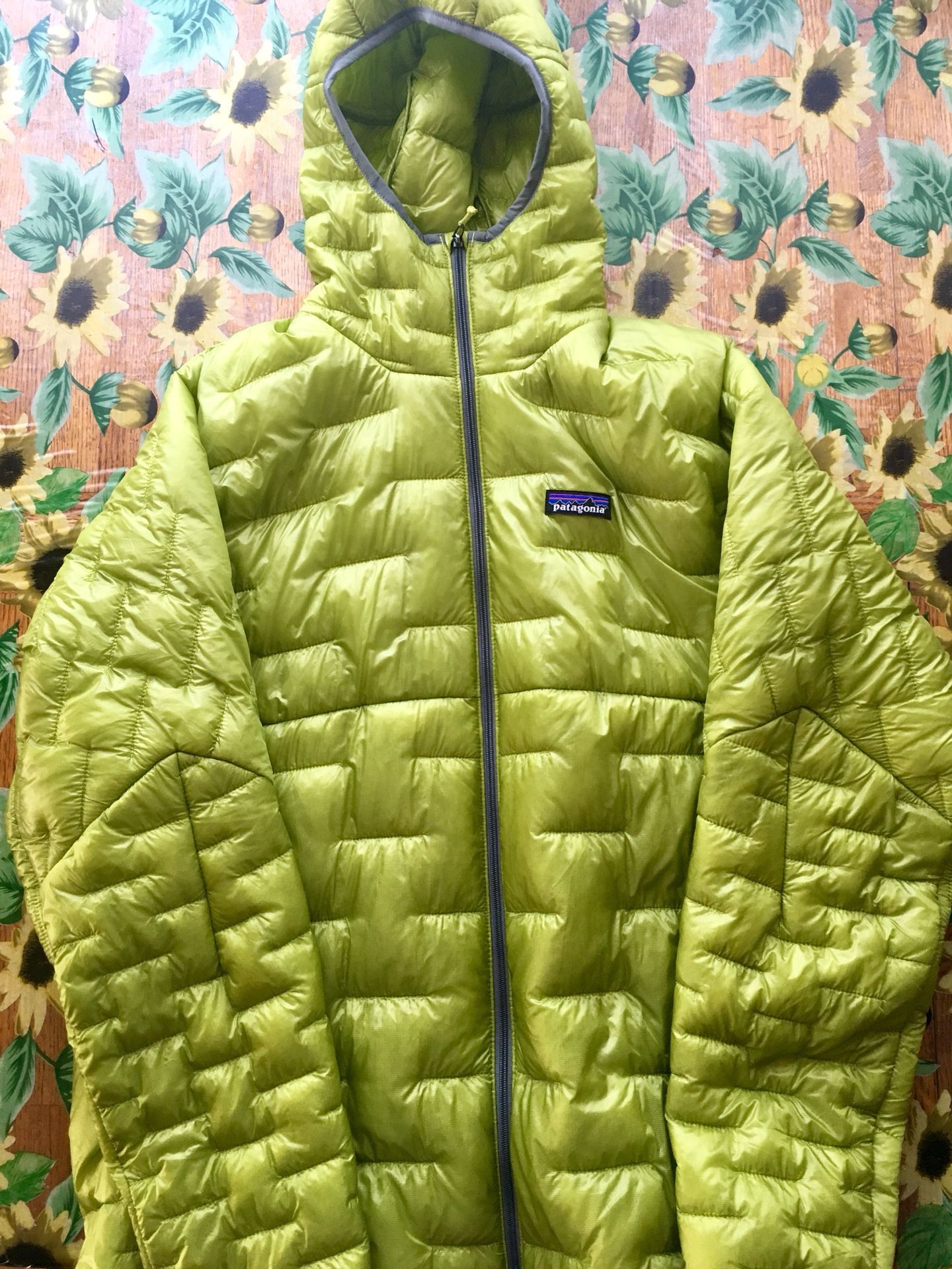Patagonia Micro Puff synthetic puffy jacket