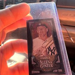 Baseball Cards 
