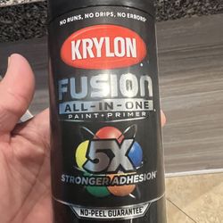 Fusion Spry Paint 