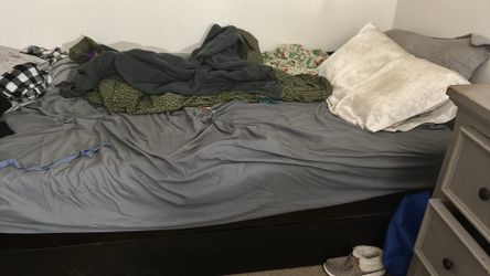 Daybed