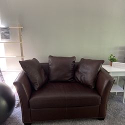 Leather luxe chair + sleeper sofa chair