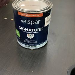 Valspar Pink Paint 