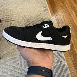 NIKE SB ALLEYOOP shoes