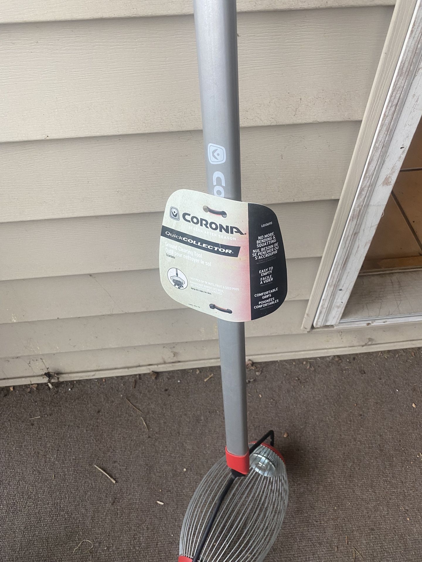 Walnut Pecan Nut Gather.