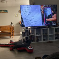 Lg 75 ThinQ 4k Smart Tv