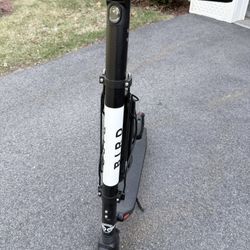 Bird Electric Scooter