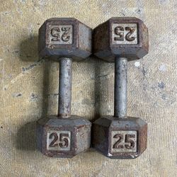 25lbs Dumbbells Weights Set