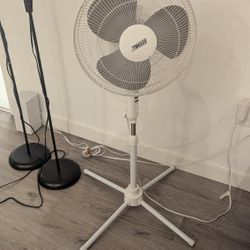 White Pedestal Fan -Adjustable Height Multiple Speed 