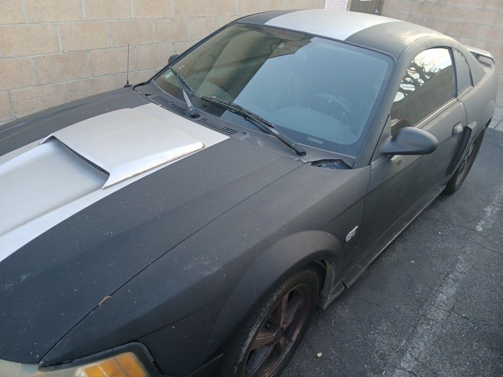 2002 Ford Mustang