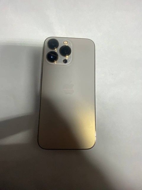 13 Pro