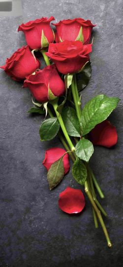 Rose Arrangements