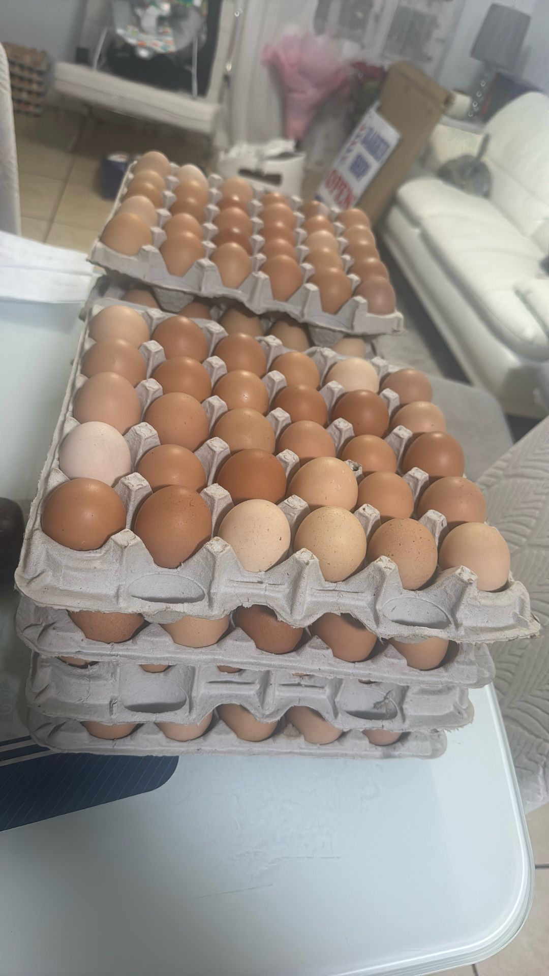 Huevos Criollos . Hacemos Domicilio (contact info removed)