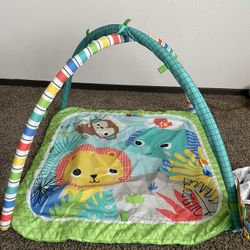 Play mat/ Activity Gym